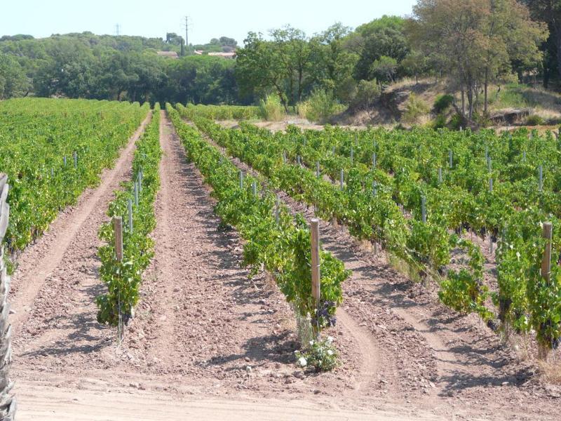 La Bastide Du Clos Des Roses - Les Collectionneurs Hotel 4*
