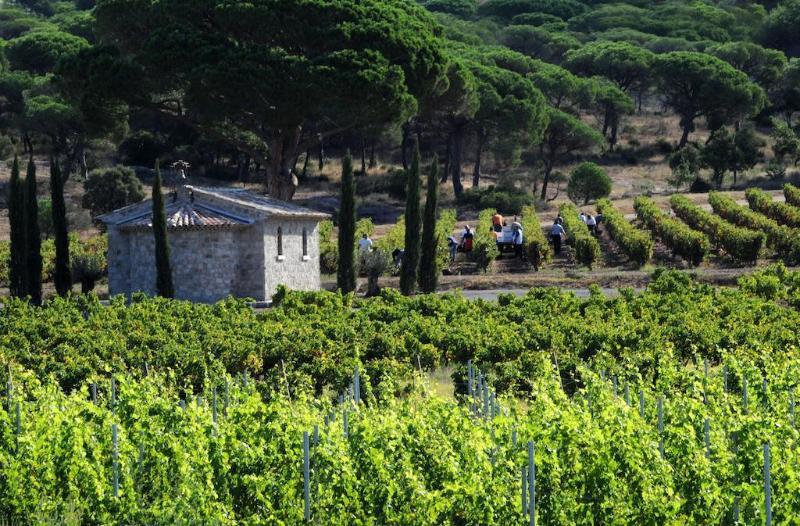 La Bastide Du Clos Des Roses - Les Collectionneurs 4* Fréjus
