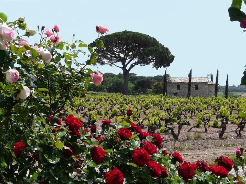 Hotel La Bastide Du Clos Des Roses - Les Collectionneurs